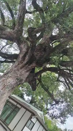平野神社(京都府)