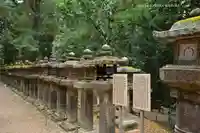 春日大社 若宮(春日若宮)(奈良県)