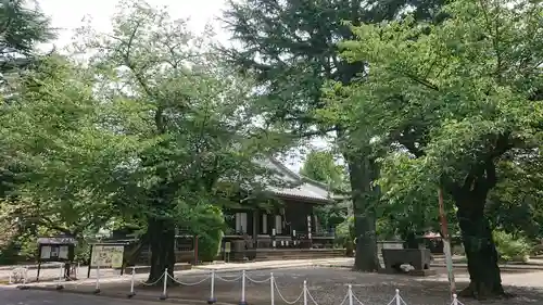 寛永寺(根本中堂)のその他建物