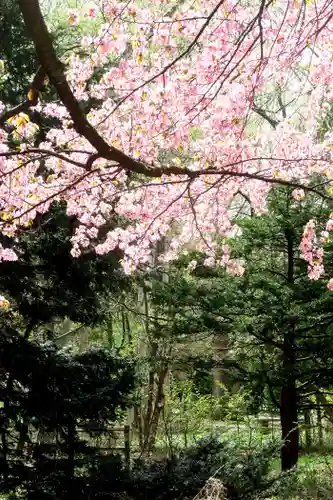 豊平神社(北海道)