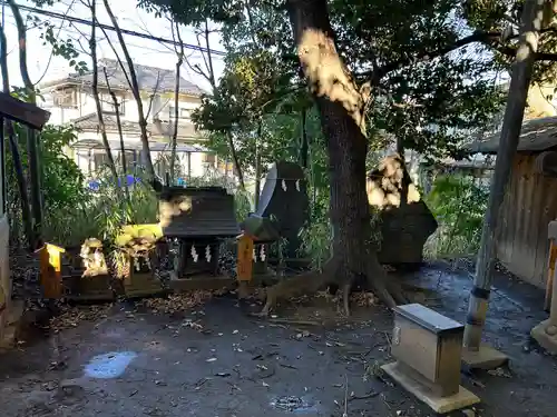 川越氷川神社(埼玉県)