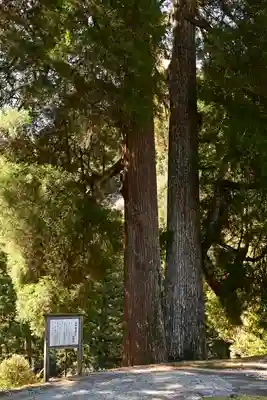 河内白王神社(高知県)