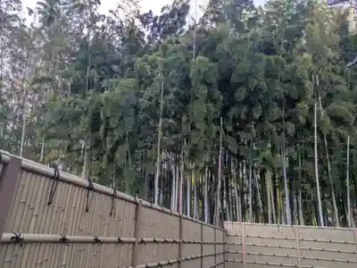 勝光院(東京都)