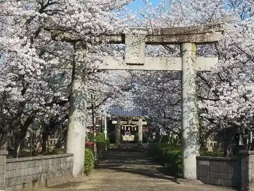 松島神社(佐賀県)