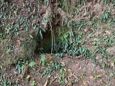 揚島天神社の自然
