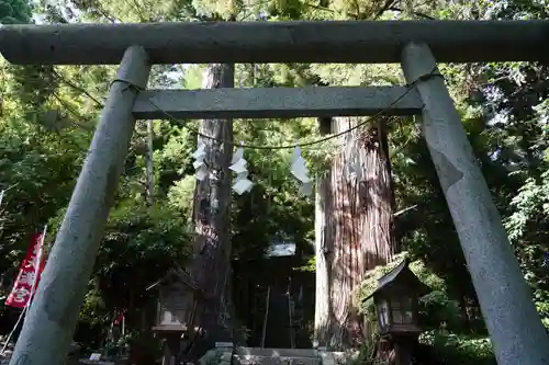 鹿島大神宮の鳥居