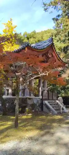 醍醐寺(京都府)