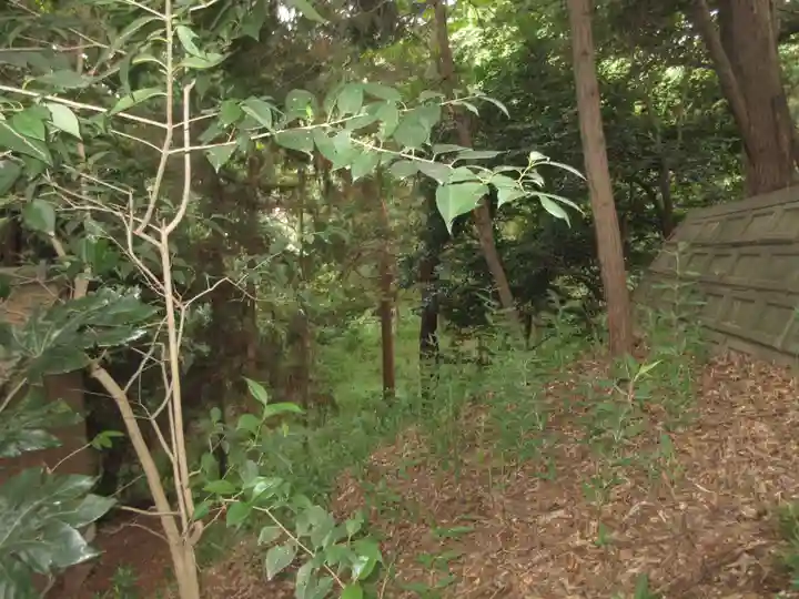 前玉神社(埼玉県)