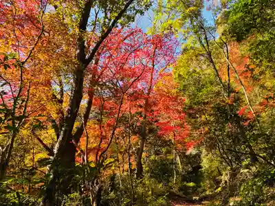 箸蔵寺(徳島県)