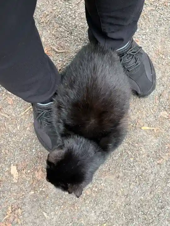玉野御嶽神社の{uncategorized: "未分類", other: "その他", undefined: "問題あり", building: "その他建物", grave: "お墓", sacred_gate: "鳥居", guardian: "狛犬", statue: "像", buddha: "仏像", history: "歴史", nature: "自然", garden: "庭園", animal: "動物", pagoda: "塔", temizu: "手水舎", mountain_gate: "山門・神門", sanctuary: "本殿・本堂", subordinate: "末社・摂社", art: "芸術", scenery: "景色", jizo: "地蔵", ema: "絵馬", goshuin: "御朱印", omikuji: "おみくじ", items: "授与品その他", amulet: "お守り", goshuincho: "御朱印帳", eats: "食事", festival: "お祭り", votive_dance: "神楽", shichigosan: "七五三参", wedding: "結婚式", experience: "体験その他", initially: "初詣", around: "周辺", anti_infection: "感染症対策"}