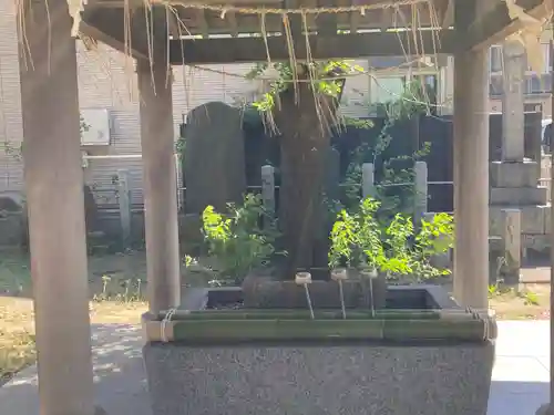 北星神社(千葉県)