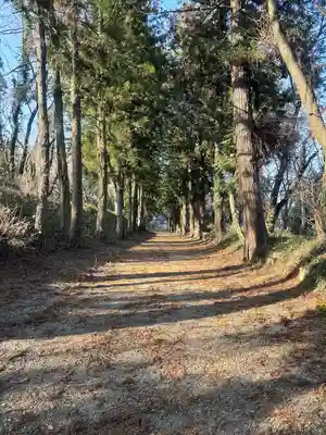 千代ケ岡八幡宮(栃木県)