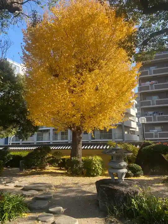 四天王寺(大阪府)