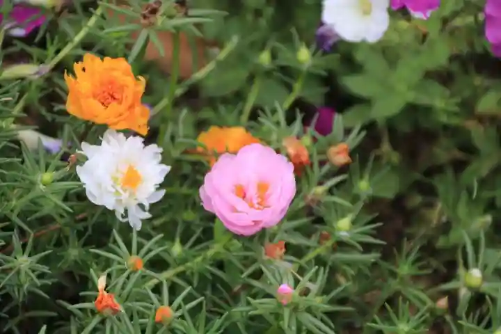 大鏑神社の庭園