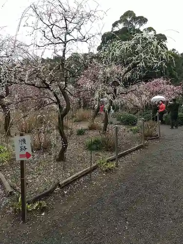 龍尾神社(静岡県)