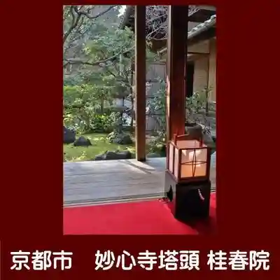 桂春院(京都府)