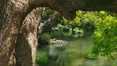香椎宮(福岡県)