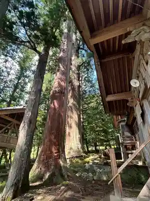 刈谷沢神明宮(長野県)