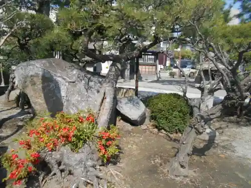 本覚寺の庭園