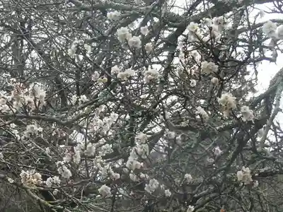 光則寺(神奈川県)