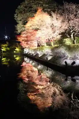 東寺（教王護国寺）(京都府)