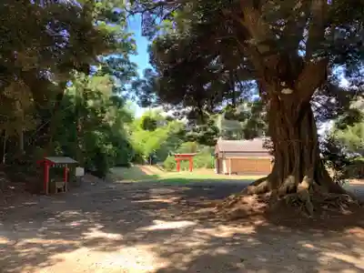 宇賀神社(千葉県)