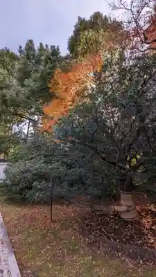 大光明寺(京都府)