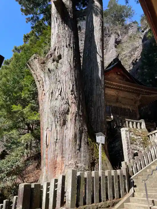 榛名神社(群馬県)