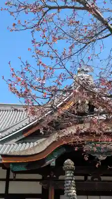 清浄華院(京都府)