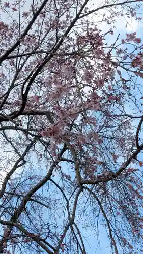 松ヶ崎大黒天 妙圓寺（妙円寺）(京都府)