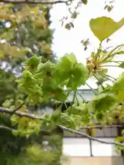 賀羅加波神社の自然