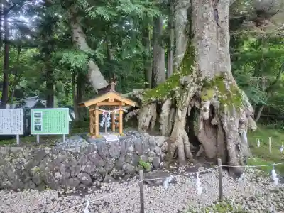 富士山東口本宮 冨士浅間神社(静岡県)