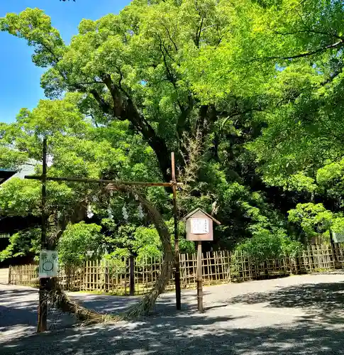 浜松八幡宮の体験その他