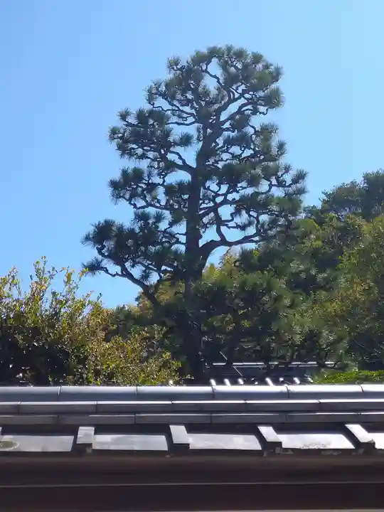 羽黒神社の周辺