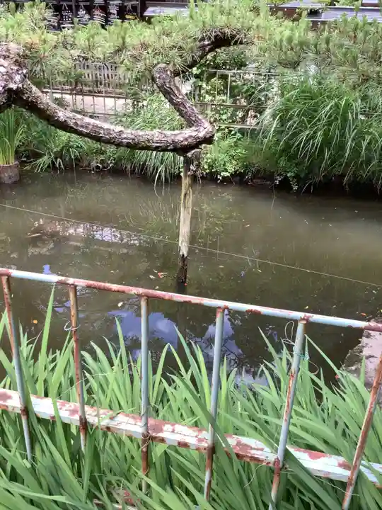 猿投神社の庭園