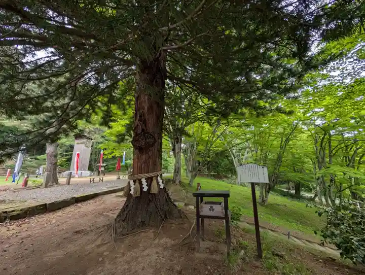 土津神社|こどもと出世の神さま(福島県)