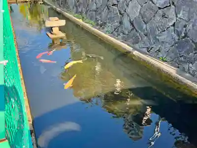 道神社(富山県)