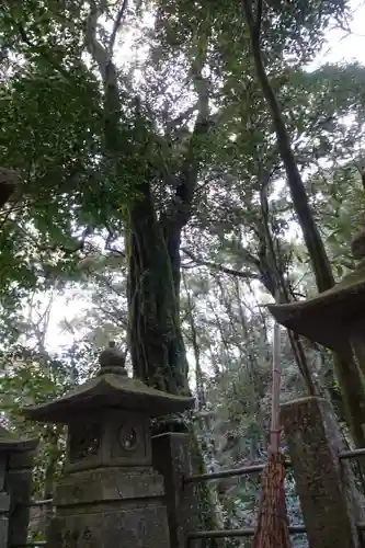 小倉神社の自然