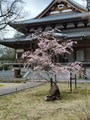 西念寺のその他建物