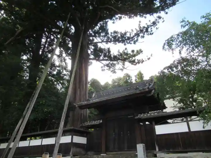 安楽寺(東京都)