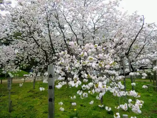 光善寺(北海道)
