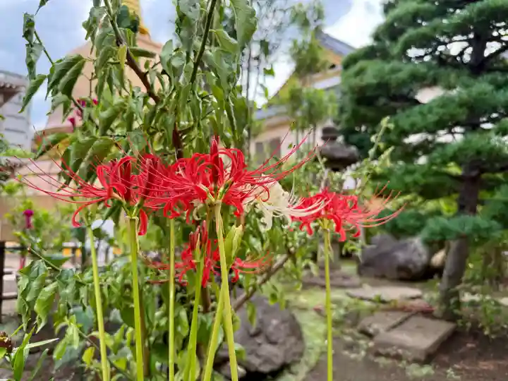 福王山 慈眼寺(東京都)
