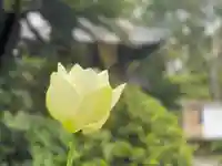 伊勢の国 四天王寺の自然