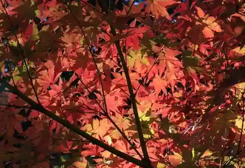 一乗寺(兵庫県)