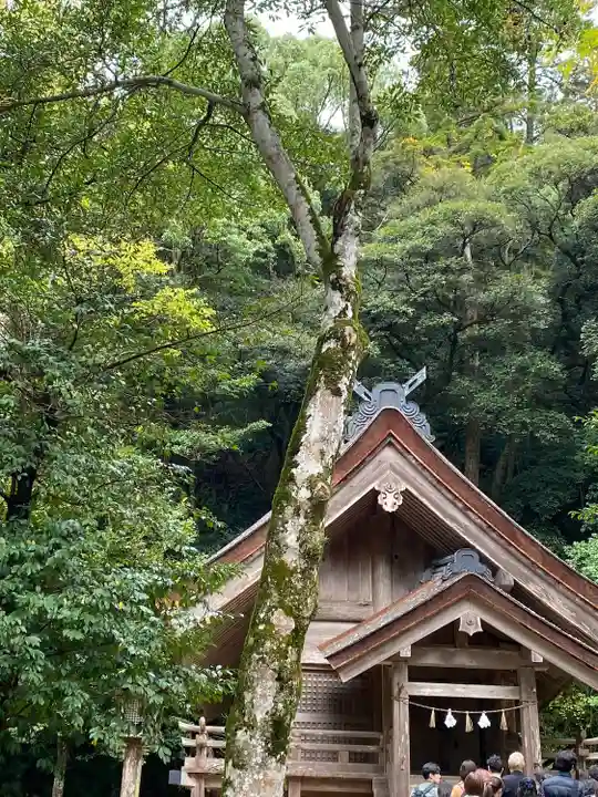 出雲大社(島根県)