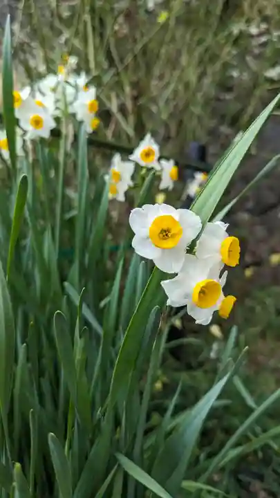 惠心院(京都府)