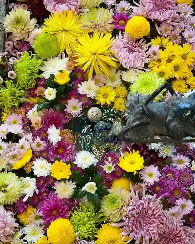 札幌諏訪神社の手水