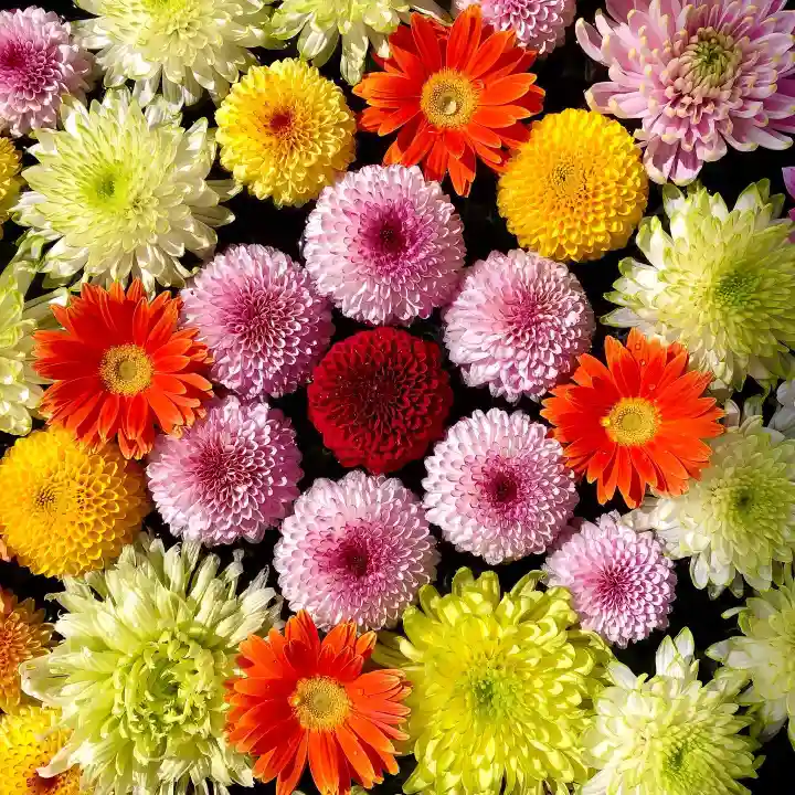 鹿島台神社の手水舎