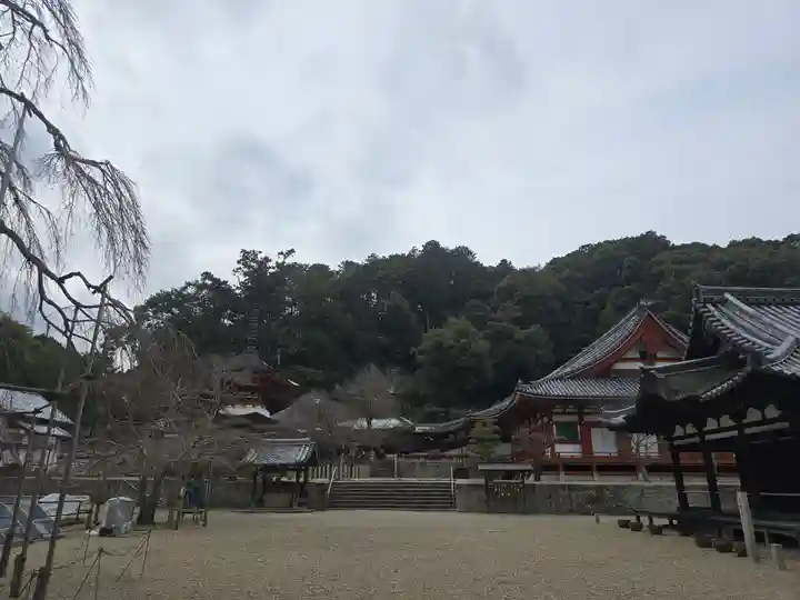 金剛寺(大阪府)