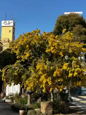 尼崎えびす神社(兵庫県)